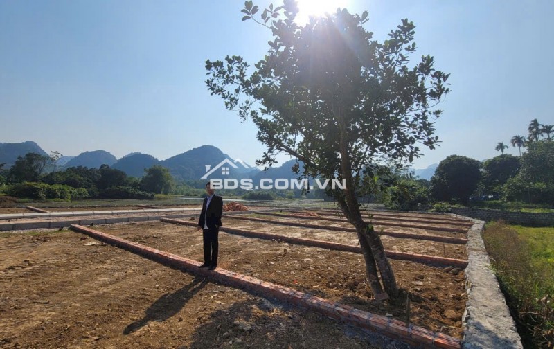 BÁN ĐẤT GIÁ RẺ CHỈ HƠN 300 TRIỆU CÁCH KHU CÔNG NGHIỆP PHÚ THÀNH CHỈ 5 PHÚT CHẠY XE